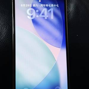 iPhone 13 256G