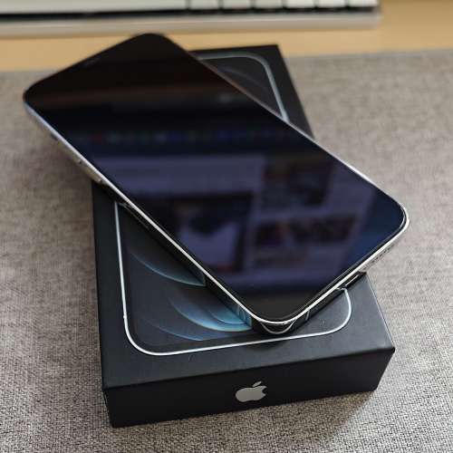 剛開封 Apple iPhone 12 Pro Max 銀色 256GB 100%電