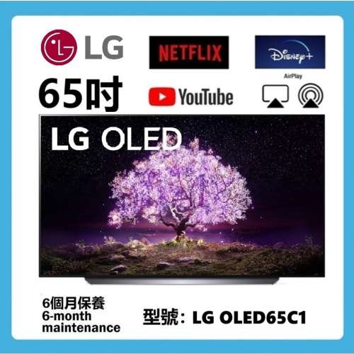 65吋 OLED SMART TV LG OLED65C1PCB 電視 120HZ