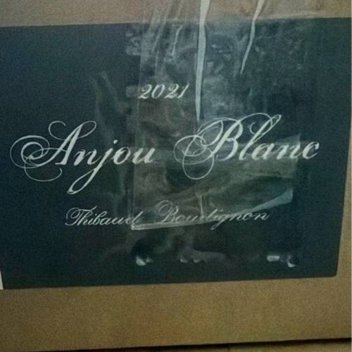 2021 Anjou Blanc Thibaud Boudignon Wine