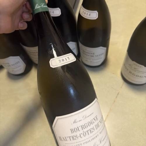 Domaine Meo-Camuzet Bourgogne Hautes-Cotes de Nuits