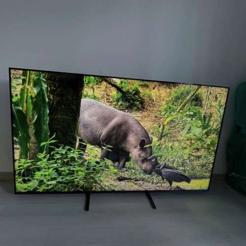 Sony K-65XR50 索尼電視5系65XR50 65英寸MiniLED電視 行貨機 近全新TV 有保養 無暗...