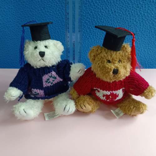Teddy bear