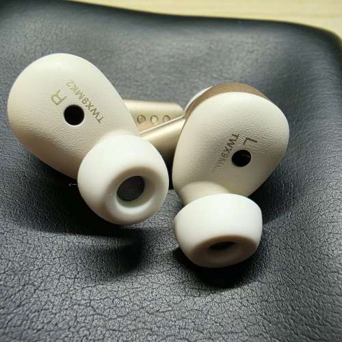 Audio-Technica TWX9MK2 無線降噪耳機