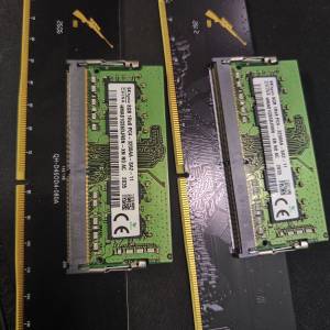 (DDR4) KLEVV 16GB SO-DIMM /兩條 SK hynix（海力士）8GB