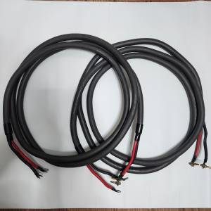 美國AudioTruth AudioQuest Solid FPS Silver Hyperlitz 發燒旗艦純銀HiFi喇叭線 3m