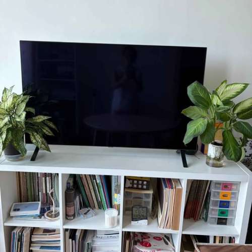 LG 樂金 48吋 OLED TV A1 智能電視 OLED48A1PCA
