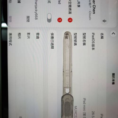 ipad mini 5 256 GB 灰色 淨機 港行 LTE插卡版 IOS26.5.2