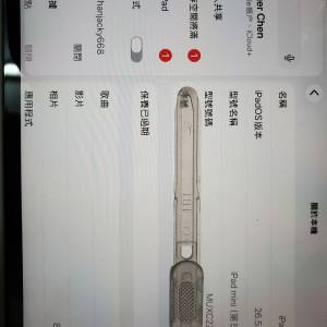 ipad mini 5 256 GB 灰色 淨機 港行 LTE插卡版 IOS26.5.2