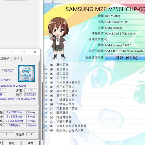 Microsoft Surface Pro 4 i5-6300U 8G Ram 256G 三星SSD WiFi藍芽 二合一平板電腦