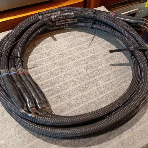 Virtual Dynamics David Series 2.0 喇叭線 2.5m