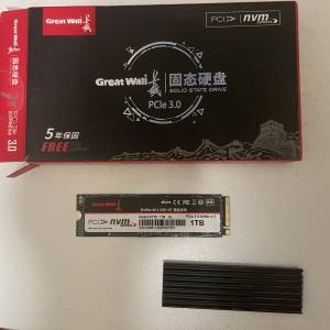 長城Great Wall 1TB M.2 Nvme SSD