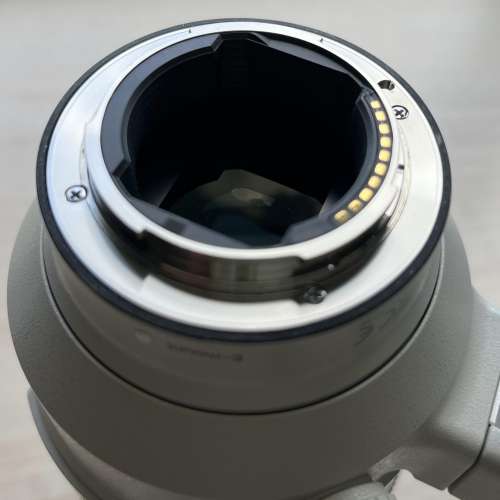 Sony G Master FE 100-400mm f/4.5-5.6 GM OSS (極新), 連 Leofoto SF-01