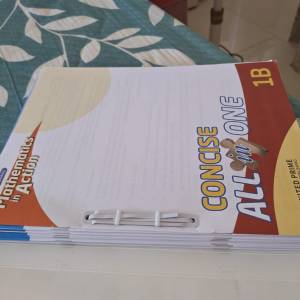 junior secondary  Mathematics in Action (concise all in one)
