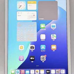iPad mini 5 lte 256gb