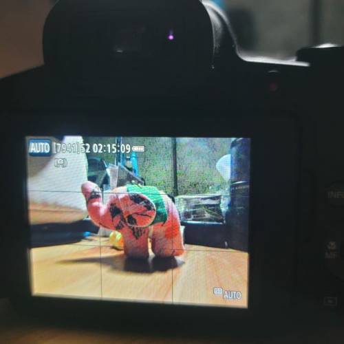 canon sx70HS
