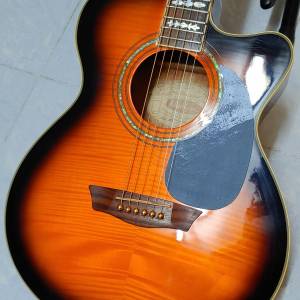 Washburn EA15 ATB (with Pickup)