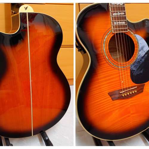 Washburn EA15 ATB (with Pickup)