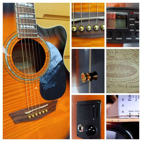 Washburn EA15 ATB (with Pickup)