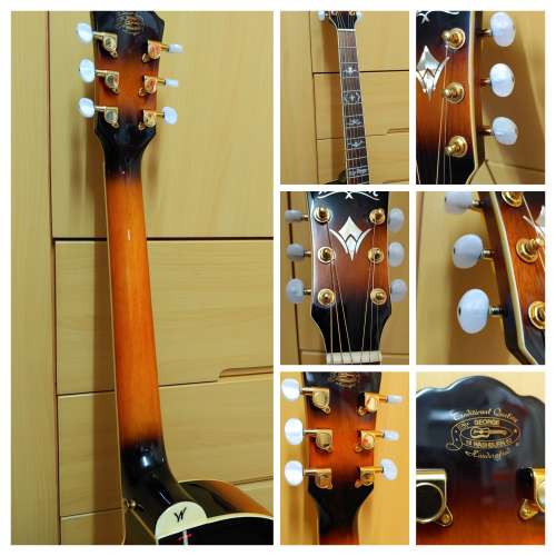 Washburn EA15 ATB (with Pickup)