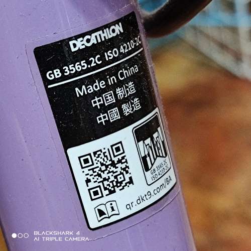 Decathlon 有波單車