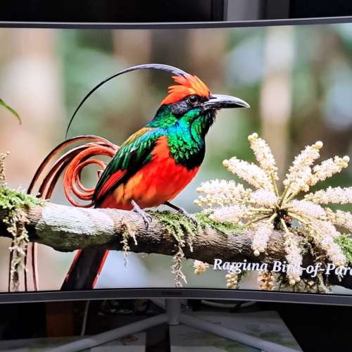 Samsung U32R591CWC 31.5&ldquo; 4K 顯示器 Monitor