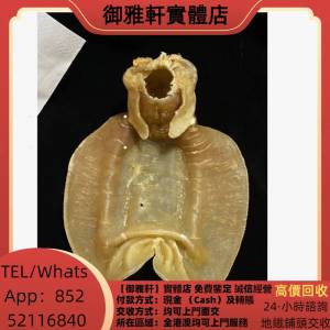 高價上門回收：2-3頭鳘魚膠 赤嘴花膠 陳年花膠 各種花膠 蜘蛛膠 白花膠 花膠筒 筒膠...
