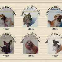 寵物用Revolution🐶🐱系列
