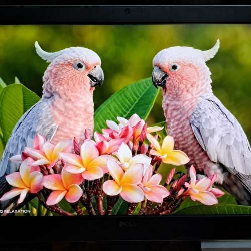 Dell uz2715hb 27&ldquo; 顯示器 Monitor