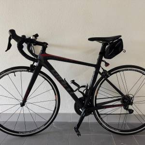 Giant TCR SLR2 (2015年版) S碼