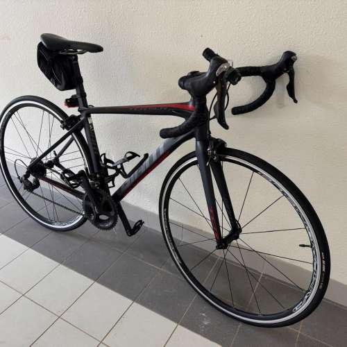 Giant TCR SLR2 (2015年版) S碼
