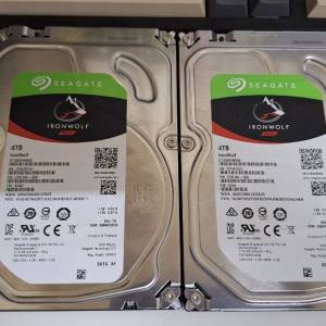 壞 Seagate IronWolf NAS 4TB HDD