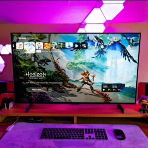 LG C2 42" 送VESA適配架
