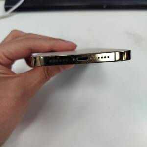 iphone 12 pro max (256 gb)