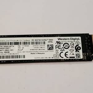 Western Digital NVMe 256G x 2pcs