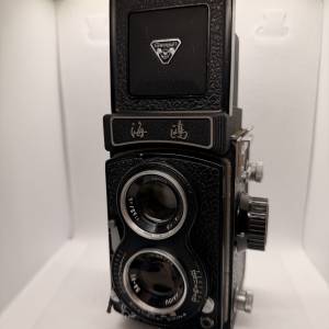 海鷗120雙反 4B1