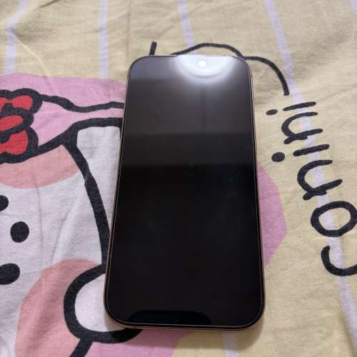 iPhone 16 Pro 256沙漠金