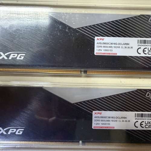 ADATA 16GB x 2 DDR5 RAM [AMD/INTEL]