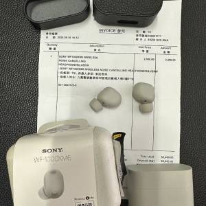Sony WF-1000XM6 Like brand new Grey version