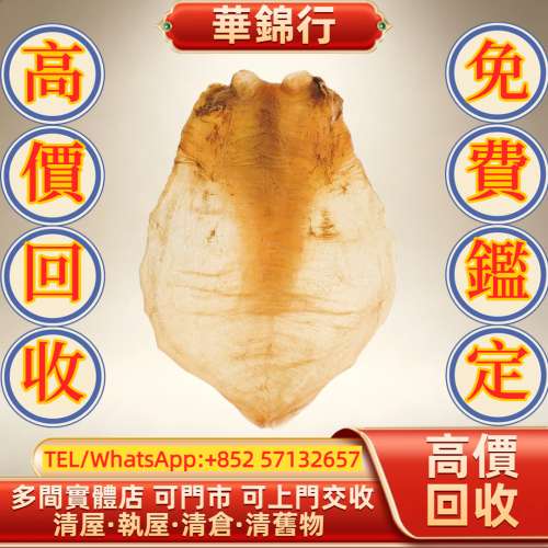 【華錦行】 實體店鋪 免費上門 蜘蛛膠 花膠，陳年花膠，燕窩，鮑魚，海參，海味，魚...