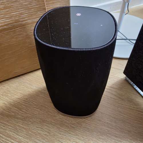 B&W flex wireless speaker