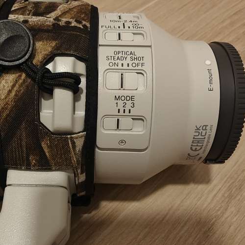 Sony FE 5.6-6.3/200-600 G OSS 鏡頭