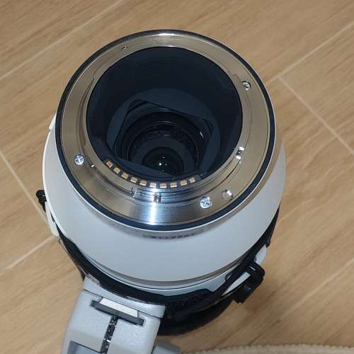 Sony FE 5.6-6.3/200-600 G OSS 鏡頭