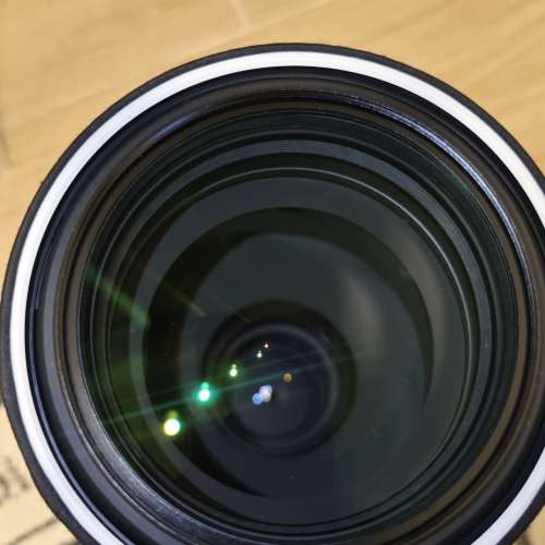 Sony FE 5.6-6.3/200-600 G OSS 鏡頭