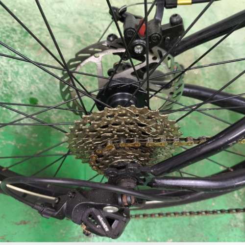 正常輕便 20吋前後蝶剎單車，前後快拆