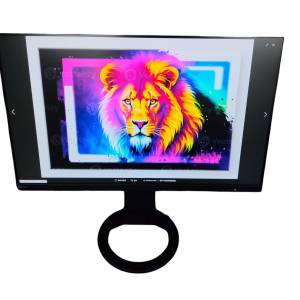 EIZO FlexScan EV2480 23.8" IPS LCD Black Monitor 黑色 顯示器 可升降及旋轉
