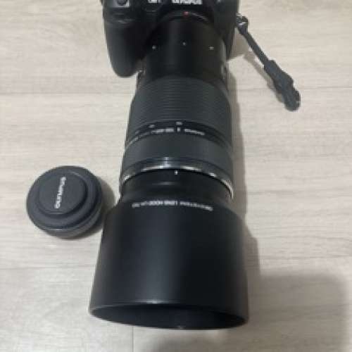 Olympus OM-1 + Olympus 100-400mm Lens + MC-14 1.4x Teleconverter