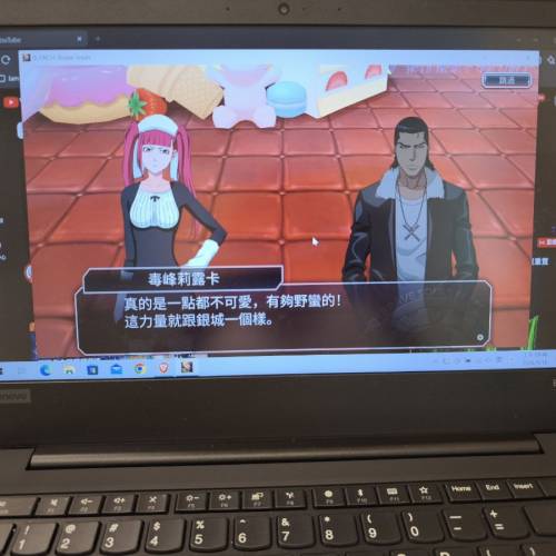 lenovo E495