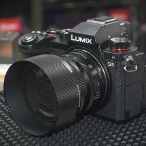 Panasonic S5 一代 + Sigma 45/2.8 L 功能正常 配件齊全