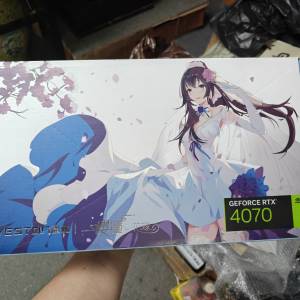 YESTON 盈通  RTX 4070 12GB D6 櫻瞳花嫁